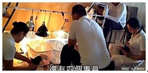 吃瓜娱乐圈录播是真的吗,吃瓜群众热议录播事件