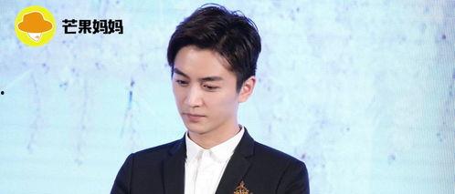 娱乐圈吃瓜陈晓是谁啊