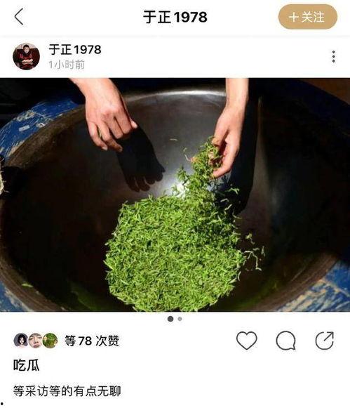 娱乐吃瓜蜀黍海苔咪
