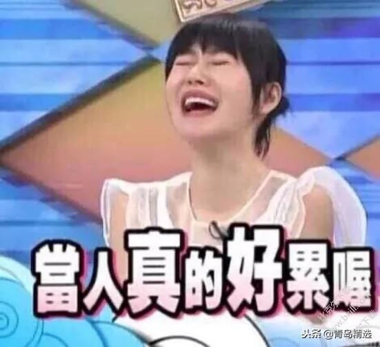 娱乐圈吃瓜综艺文推荐,明星幕后故事大揭秘,吃瓜综艺文推荐盘点