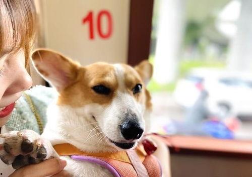 大懒猫娱乐八卦爆料吃瓜,娱乐圈最新八卦大揭秘!